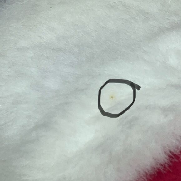 Hallmark Peanuts Collection Snoopy w/ detachable Woodstock Stocking NWT - Picture 11 of 11